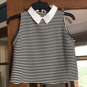 Zara Striped Collar Crop Top
